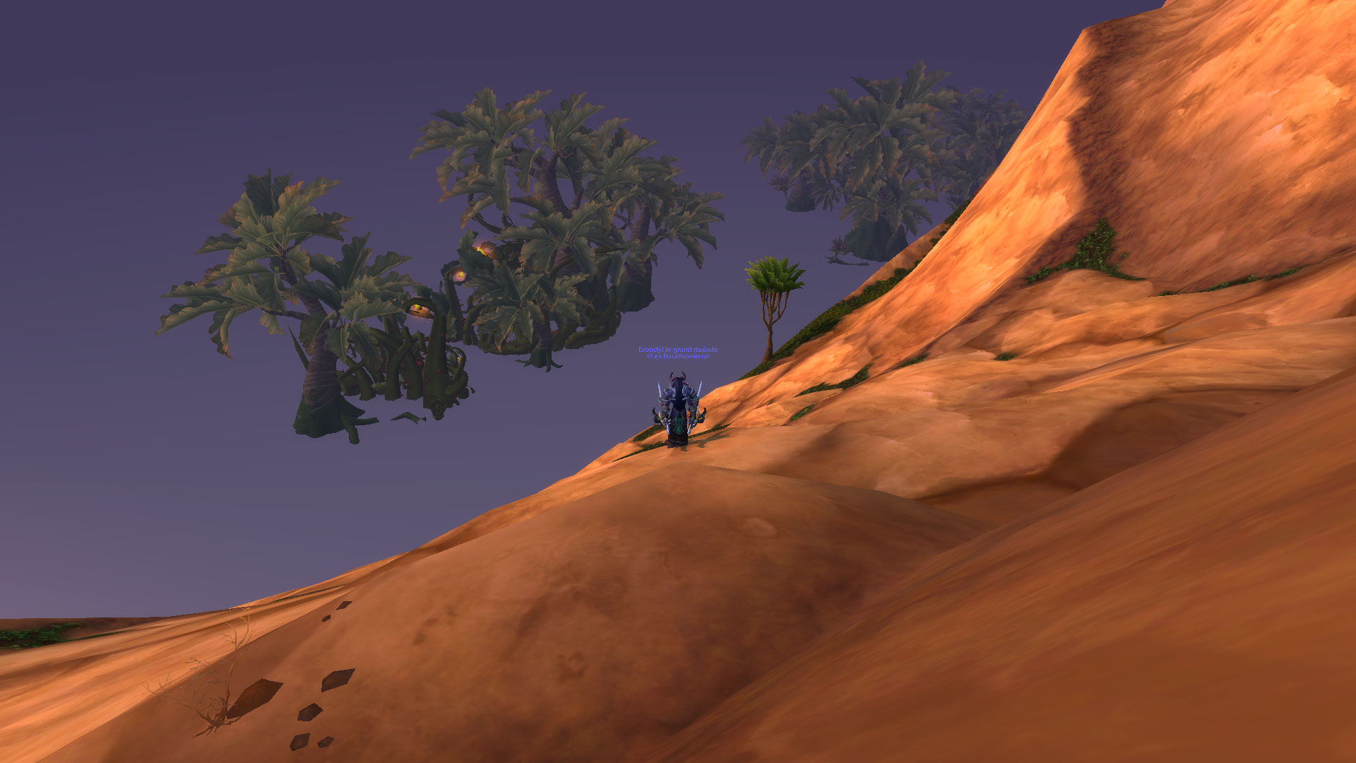 flore eternelle (2).jpg