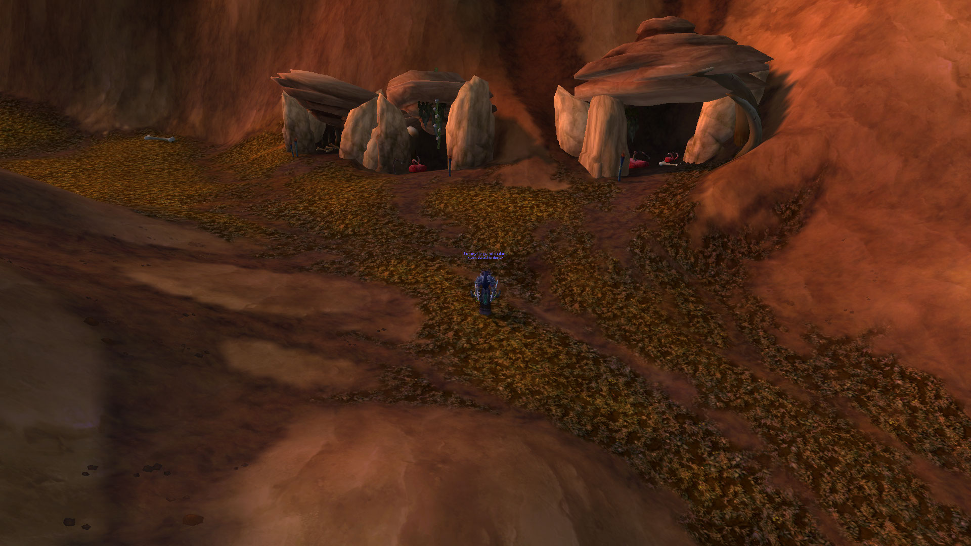 flore eternelle (4).jpg