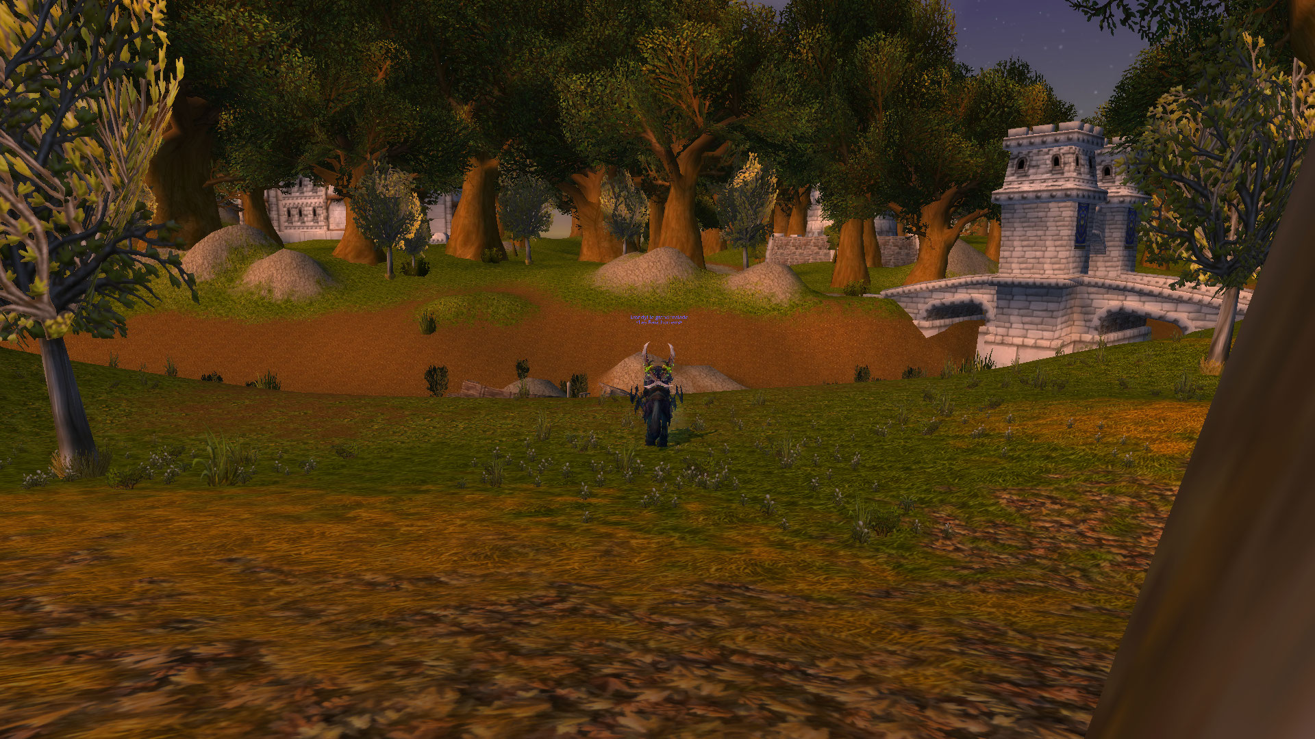 flore eternelle (6).jpg