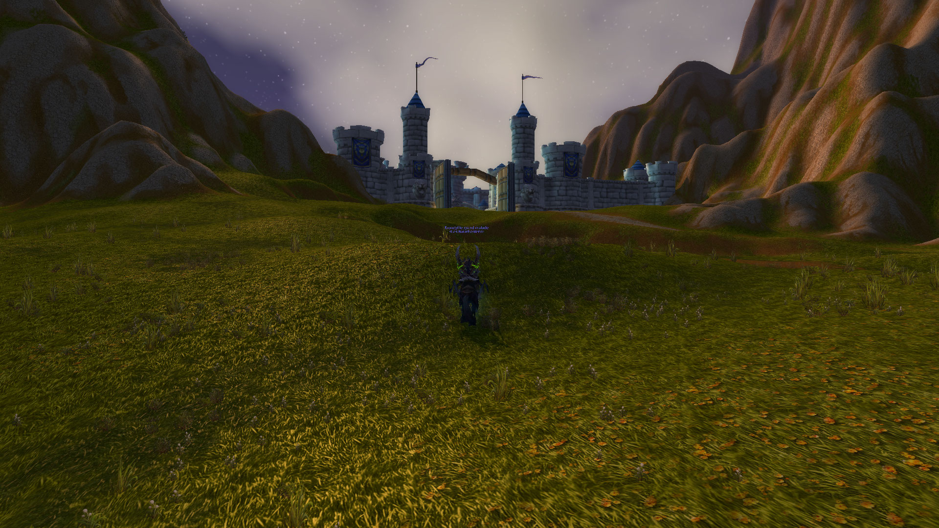 flore eternelle (8).jpg