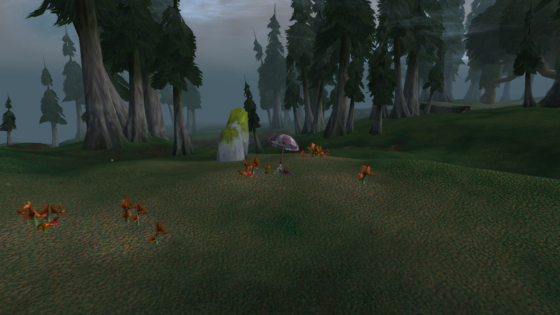 Mais avec tout les trajets que j'ai fait il faut bien entendu faire un pique-nique :D