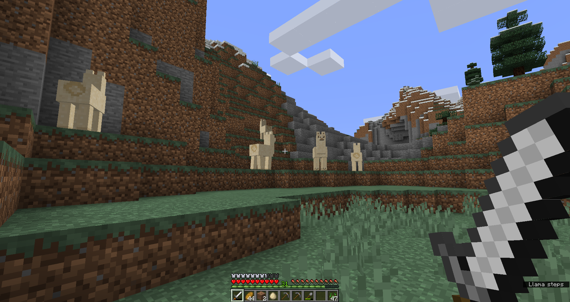 D'abord... des lamas