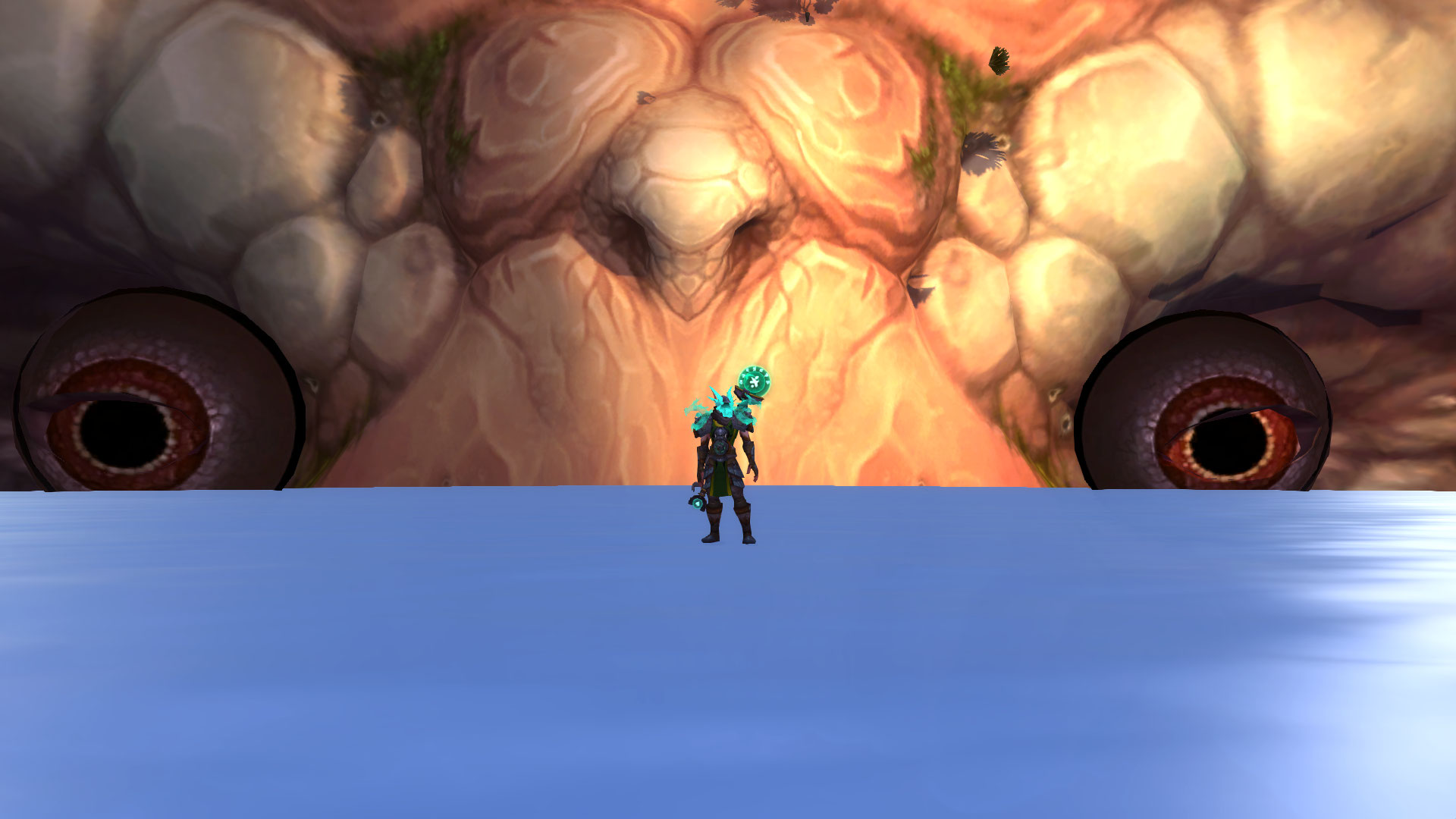 Une balade au domaine des moines : sur la tortue !