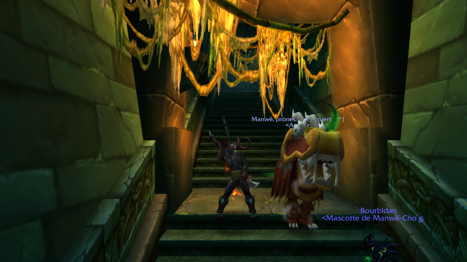 Deriere le portail du vieux temple d'atal'akar