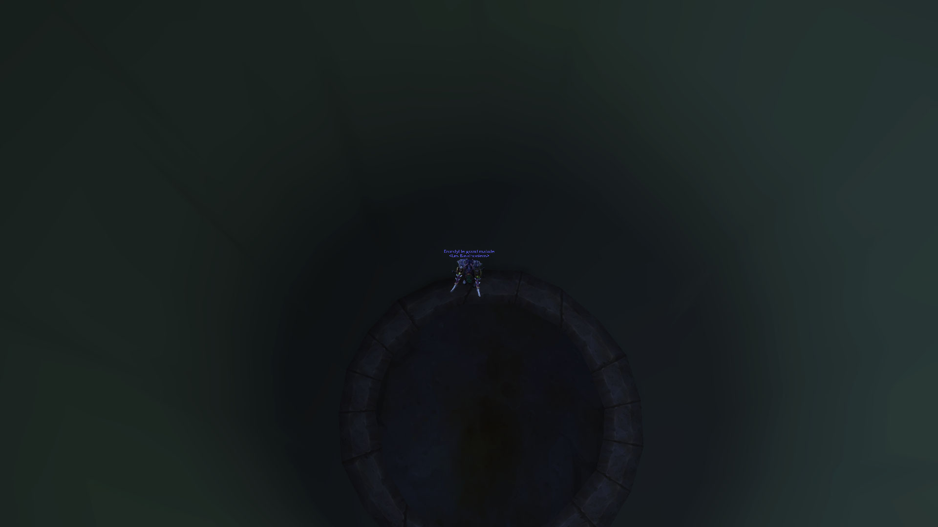 puit de dala (2).jpg