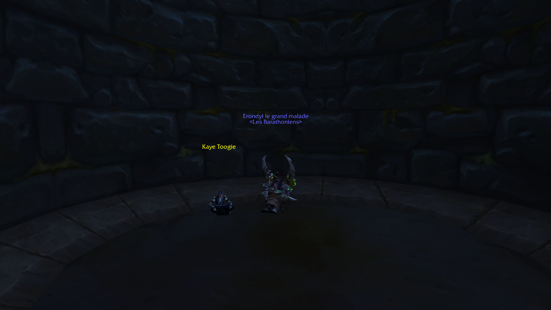 puit de dala (3).jpg