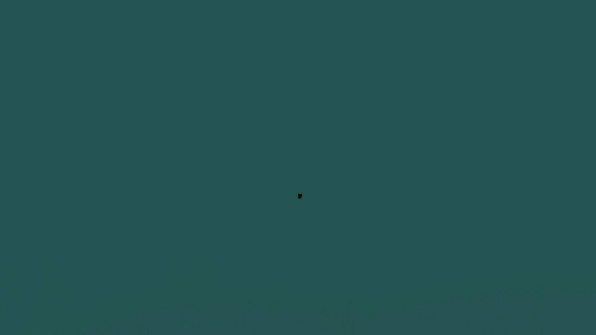 Que..que.. Qu'est-ce ?