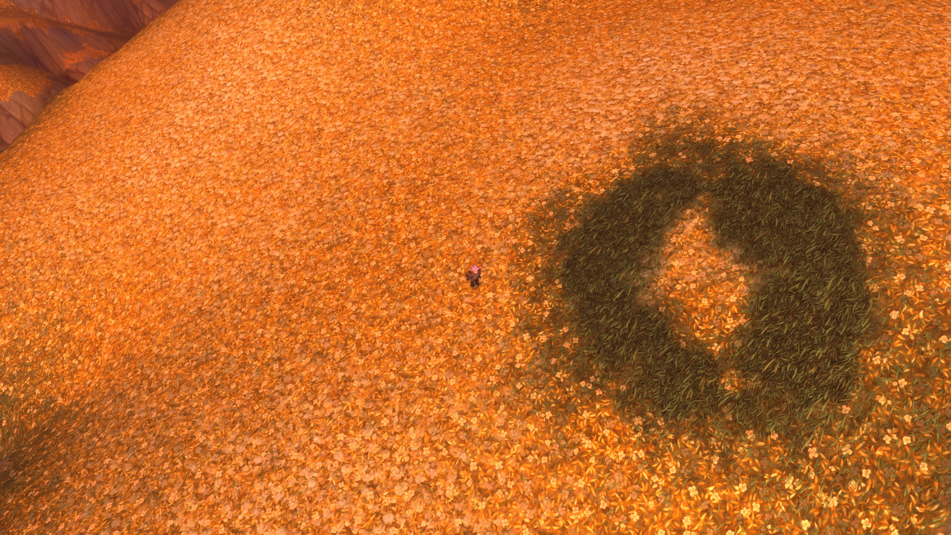 Un clin d’œil... Cette blague...